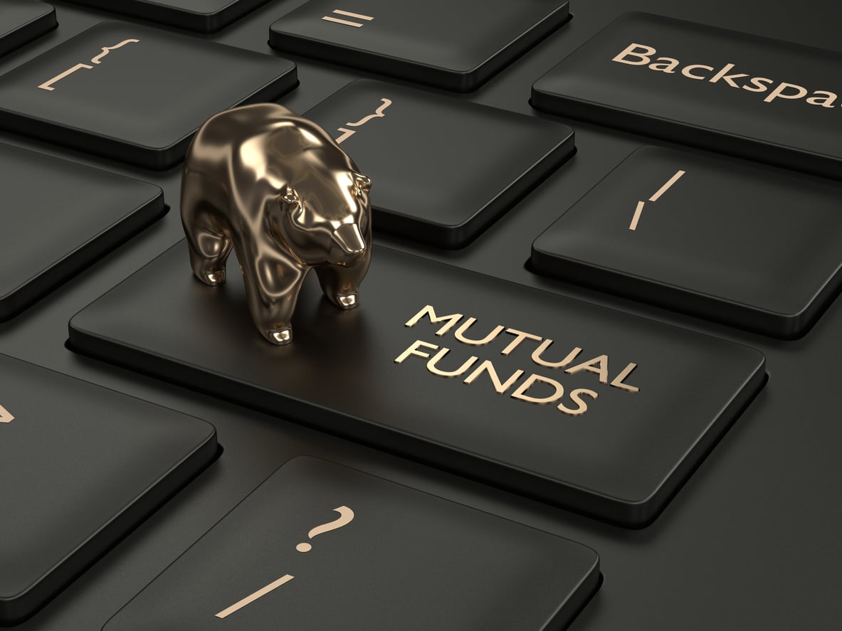 Safe Ways to Diversify Your Portfolio with Mutual Funds image